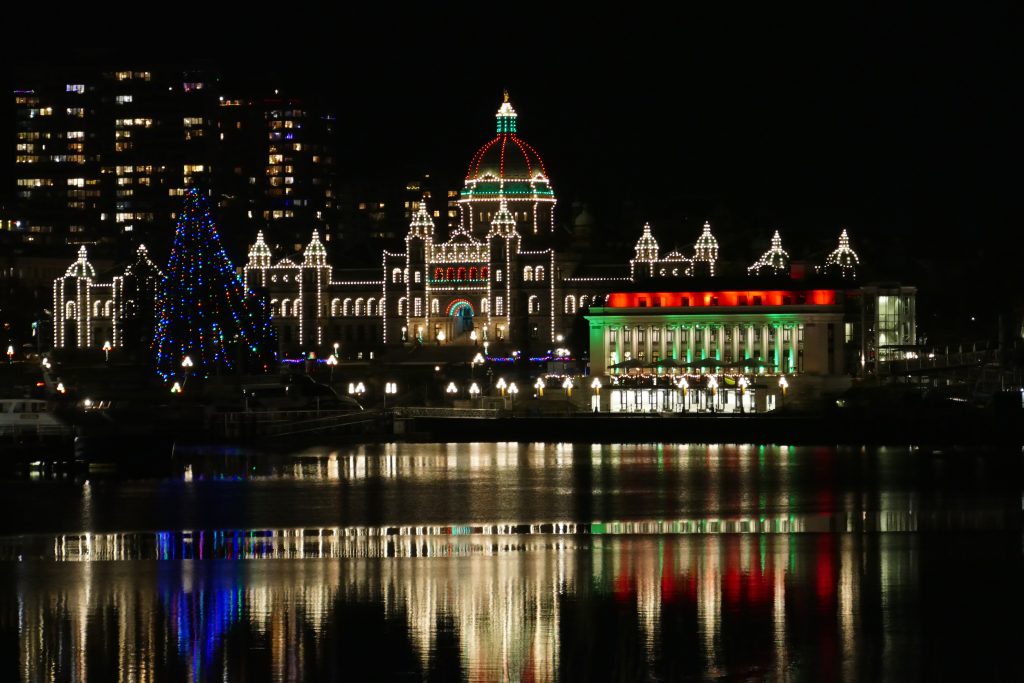 Christmas Photography in Victoria – Living Library